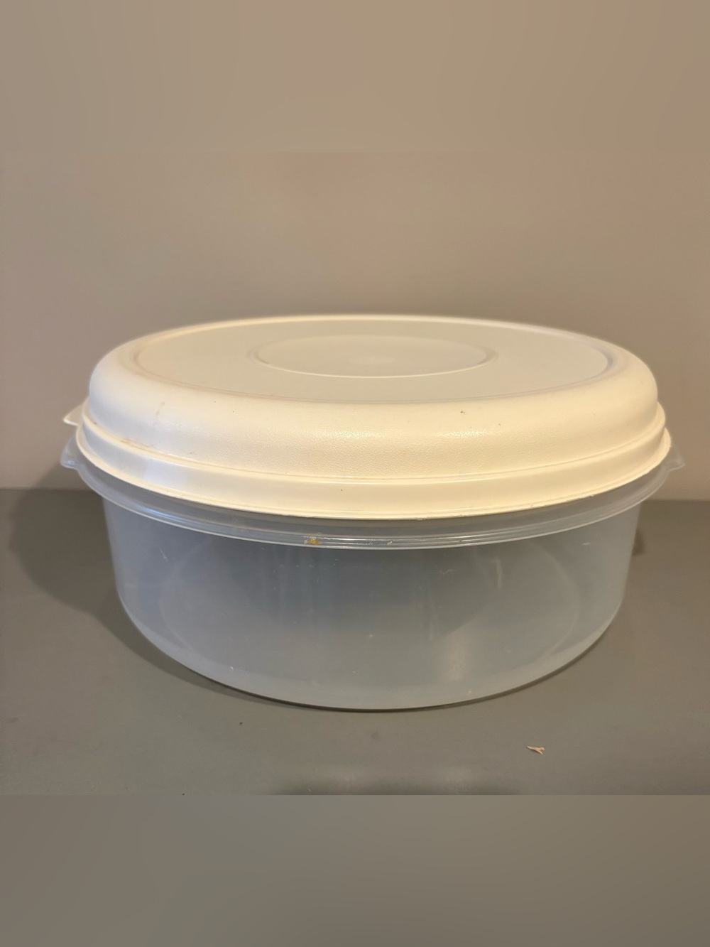 Rubbermaid 22 Cups Round Food Storage Container Vintage